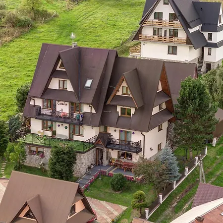 Goscinne Zosia Bed & Breakfast 4*