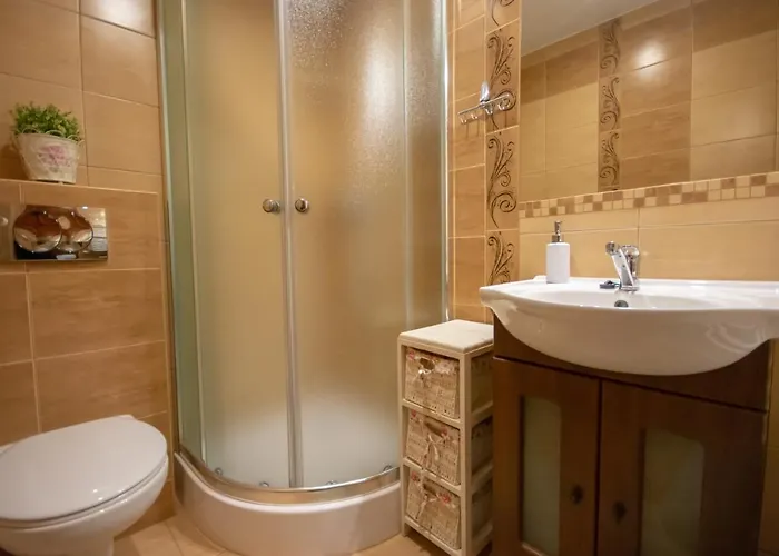 佐西亚家庭旅馆 4* 布库维纳塔然斯卡